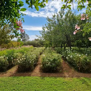 Villa Maison Noun, Marrakesh